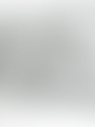 21. Januar 1525 Erste Glaubenstaufe 