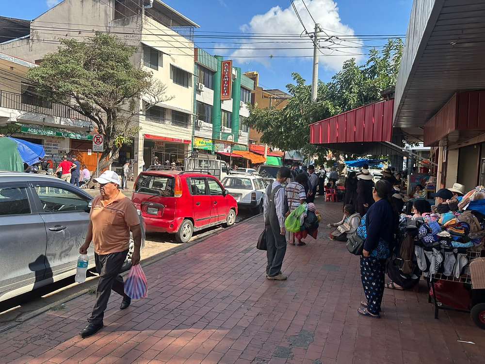 6. de Agosto: Die mennonitische Straße