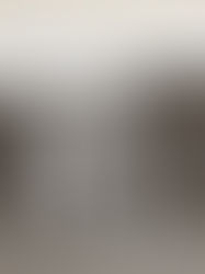 05. März 1871 – Gespräch am Gartentor: Mennonitische Delegierte treffen Zar Alexander II.