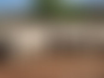 Viehdieb flieht nach Diebstahl bei mennonitischer Familie in Pailón