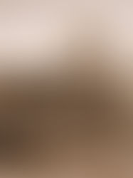 21. Januar 1931: Audienz in Asunción