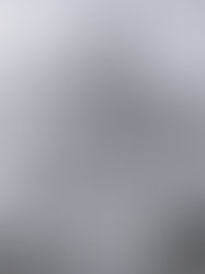 20. August 1527 Augsburger Märtyrersynode