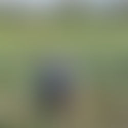 Landraub, Doppeltitel, Landhandel: Wie Agrarkonflikte die Produktion in Bolivien bremsen