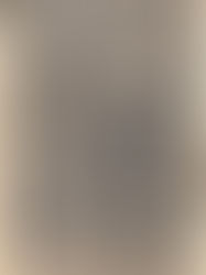 20. Mai 1533 Verhaftung von Melchior Hoffmann in Straßburg