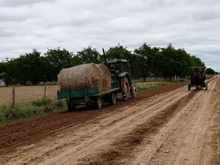 Ansiedlung von Mennoniten in Suriname ausgesetzt.