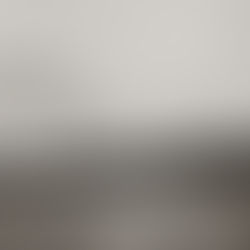 Die SS Volendam: Vom Tudor-Luxus zur „Arche“ der Hoffnung