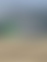 Uruguay startet in die Erntesaison: Weizen, Gerste und Raps