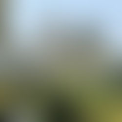 Victorius Kirche in Pingjum