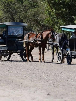 Tragischer Todesfall in mennonitischer Kolonie in La Pampa