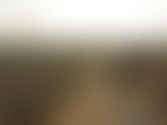 Mennoniten in Meta: Landwirtschaft, Glaube und der Weg zur Wiedergutmachung