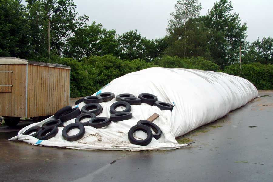 Silage in einem Siloschlauch gelagert
