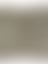 24. Februar 1527 Erstes Glaubensbekenntnis der Täufer