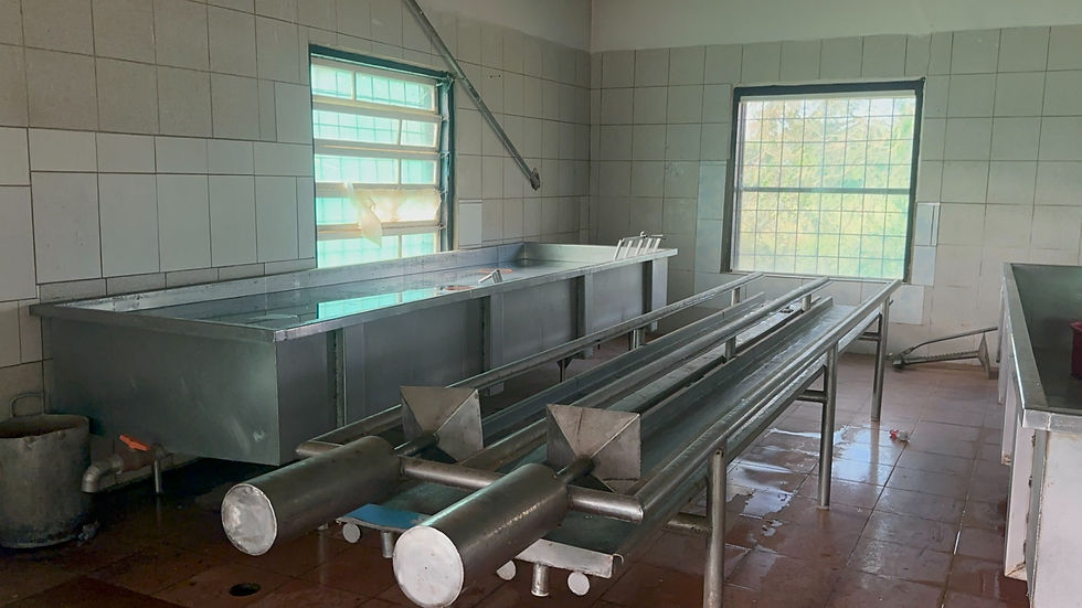 Maschinen die zur Käseherstellung gebraucht werden