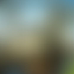 Mennonitische Kirche Giethoorn, erbaut 1871