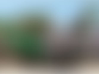 Mennoniten in Lateinamerika