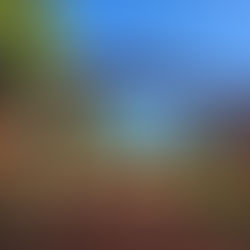 De Chortitza al Km 81: El Hospital Mennonita Km 81 como testimonio vivo del cuidado de los enfermos desde 1951 hasta hoy