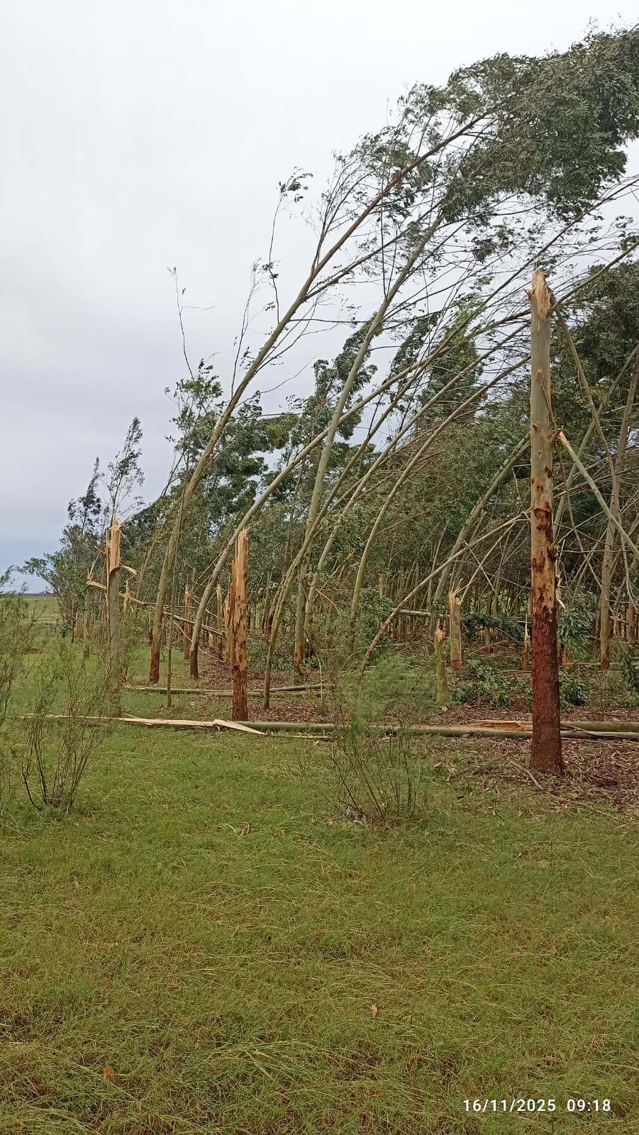 Sturm in Uruguay: Bis zu 150 km/h Windstärke