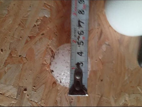 Unwetter am Wochenende treffen den Norden von Argentinien