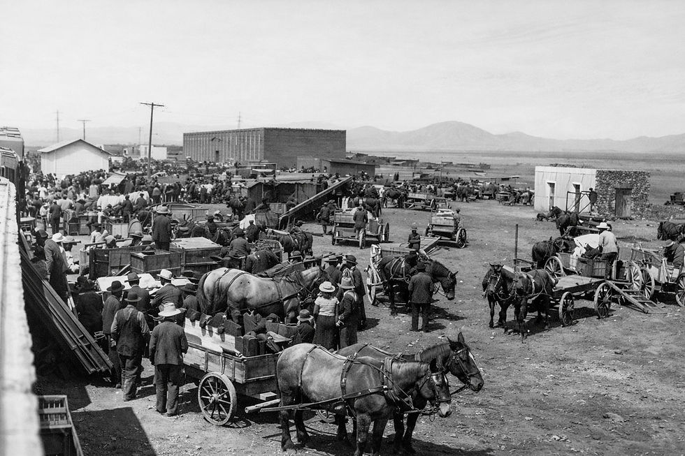 Ankunft der Mennoniten in San Antonio de los Arenales 1923