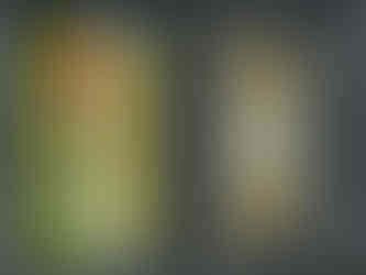 2006 Topps Triple Threads - Relic Combos Gold #TTRC-223, SN9 - Scott Rolen