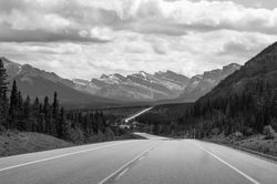 The Open Road