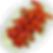 Chili Saeu 칠리새우 image