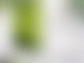 Crystalline vs Soda-Lime Glassware: Which Is Right for Your Business?