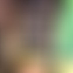 Bordeaux vs. Burgundy