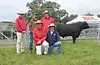 Gilmandyke 2022 Bull Sale Photo.webp