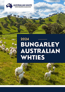 Bungarley 2024 PDF.jpg
