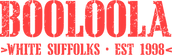 Booloola Logo Red Small.png