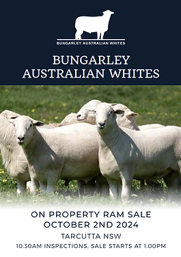 Screenshot 2024-09-21 085257.png