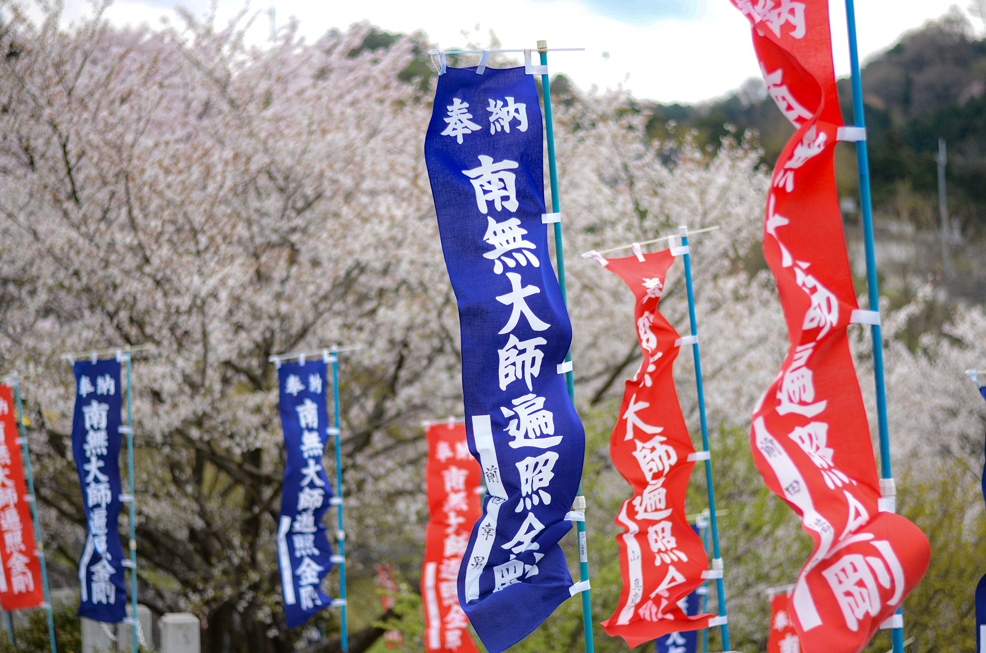 宝号のぼり旗