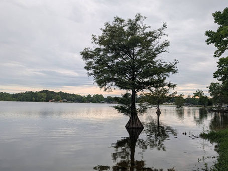 From Mountains to Marion: Owning My Mistakes and Finding a New Pace in South Carolina