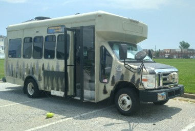 Bus with tree pattern parked on asphalt, door open, license plate visible. Grassy field and houses in background under a clear sky.