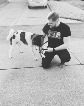 akita pic.jpg
