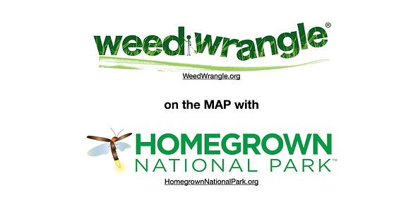 %231%20Graphic-WW%3AHGNP%20Logo_edited.j
