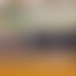 Mercy Leaders in the Community