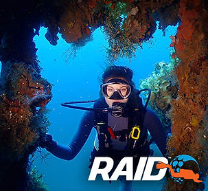 RAID-Square-Dive1.jpg