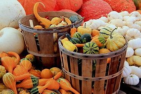 gourds-at-farmers-market.jpeg