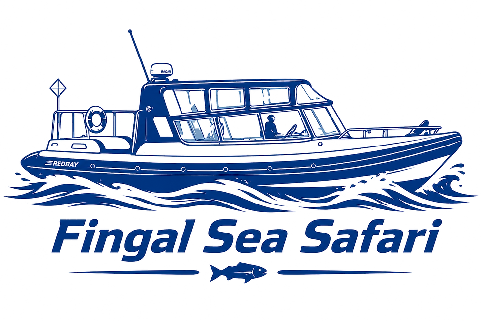 fingalseasafari.png