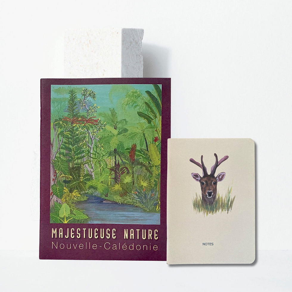 Duo Majestueuse nature - Cerf