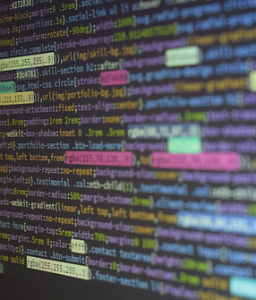 Secure Coding Training Program Consulting