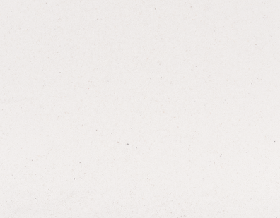 Untitled design (29).png
