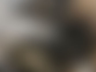 Luxe X Tut Puppies Have Arrived!!!