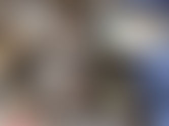 Luxe X Tut pups, week 1(ish) Update