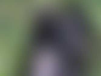 8 Week Update: Ziti and Linguine - The Perfect Playful and Independent Pups Ready for Adoption Now