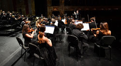 Orchestra FOI