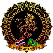 SINGHA TRANSP.png