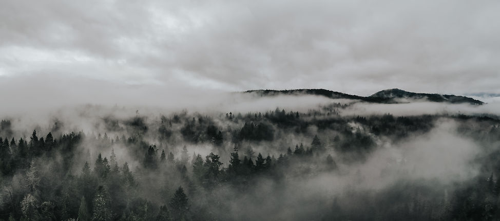 Foggycedarhavendroneshot-2.jpg